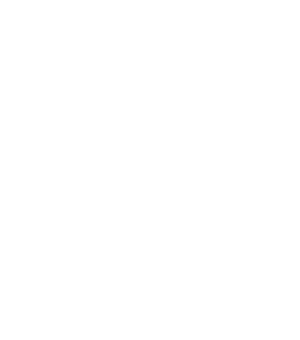 point 03